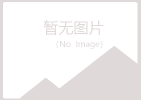 红岗区白山快递有限公司